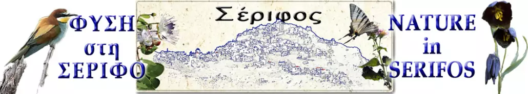 Physi Serifos